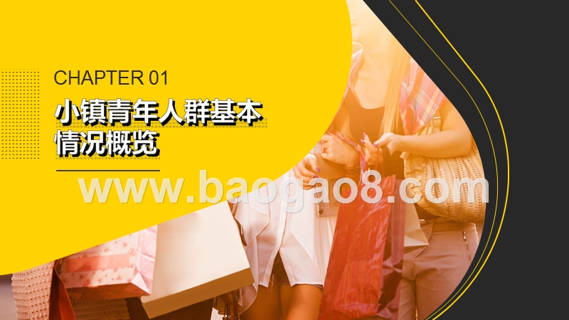 2019-2020小镇青年线上消费洞察报告.pptx_第3页