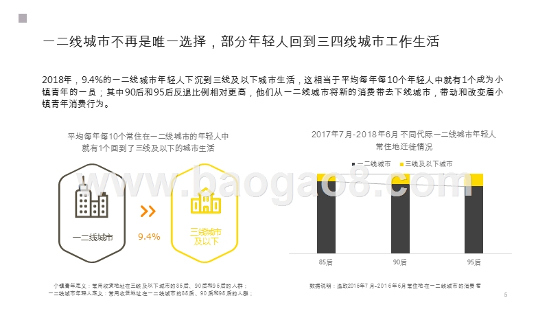 2019-2020小镇青年线上消费洞察报告.pptx_第5页