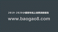 2019-2020小镇青年线上消费洞察报告.pptx
