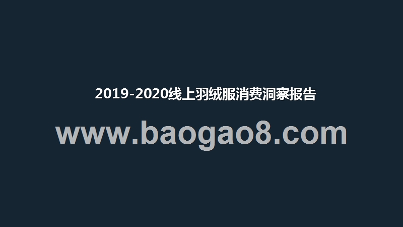 2019-2020线上羽绒服消费洞察报告.pptx_第1页