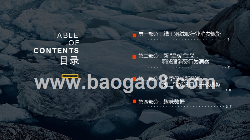 2019-2020线上羽绒服消费洞察报告.pptx_第2页