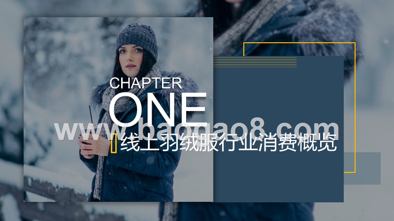 2019-2020线上羽绒服消费洞察报告.pptx_第3页