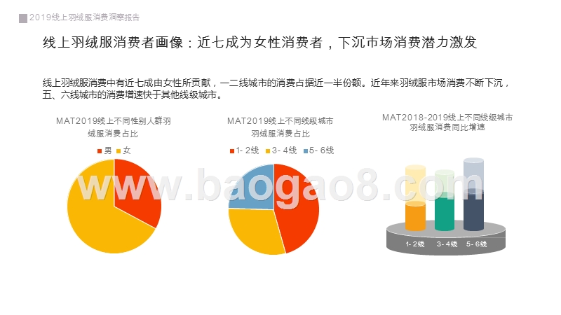 2019-2020线上羽绒服消费洞察报告.pptx_第5页