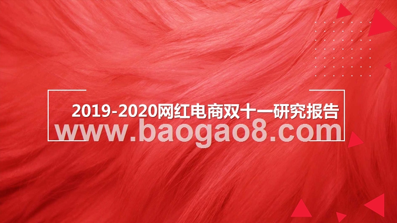 2019-2020网红电商双十一研究报告.pptx_第1页