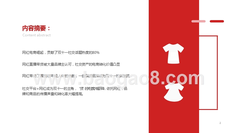 2019-2020网红电商双十一研究报告.pptx_第2页
