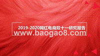 2019-2020网红电商双十一研究报告.pptx