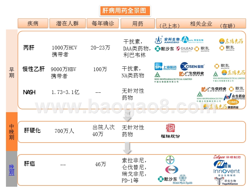 2020肝病药市场展望分析报告.pptx_第4页