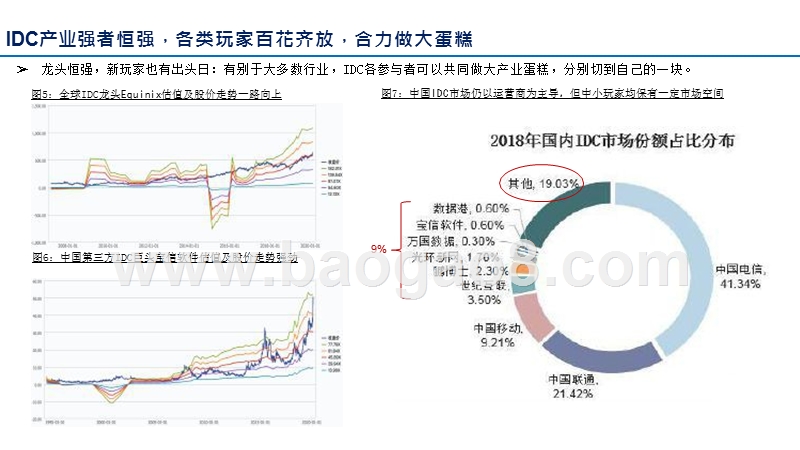 2020全球IDC企业价值分析报告.pptx_第5页