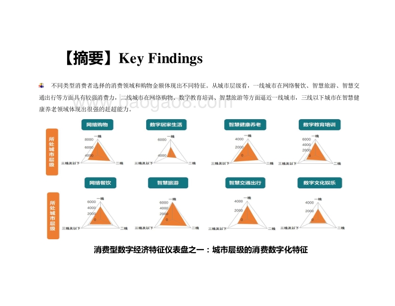 2019-2020消费型数字经济研究报告.docx_第5页
