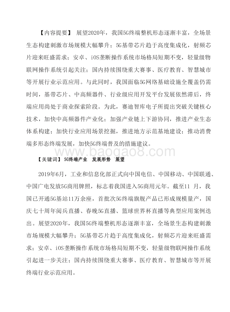 2020年中国5G终端产业发展形势研究报告.docx_第3页