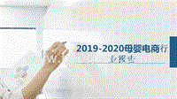 2019-2020母婴电商行业报告.pptx