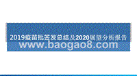 2019疫苗批签发总结及2020展望分析报告.pptx