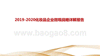 2019-2020化妆品企业微观战略详解报告.pptx