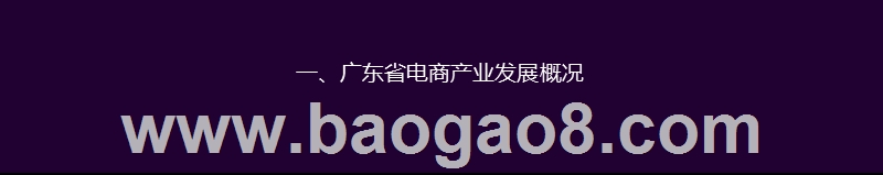 2019-2020广东省电商产业发展分析报告.pptx_第2页