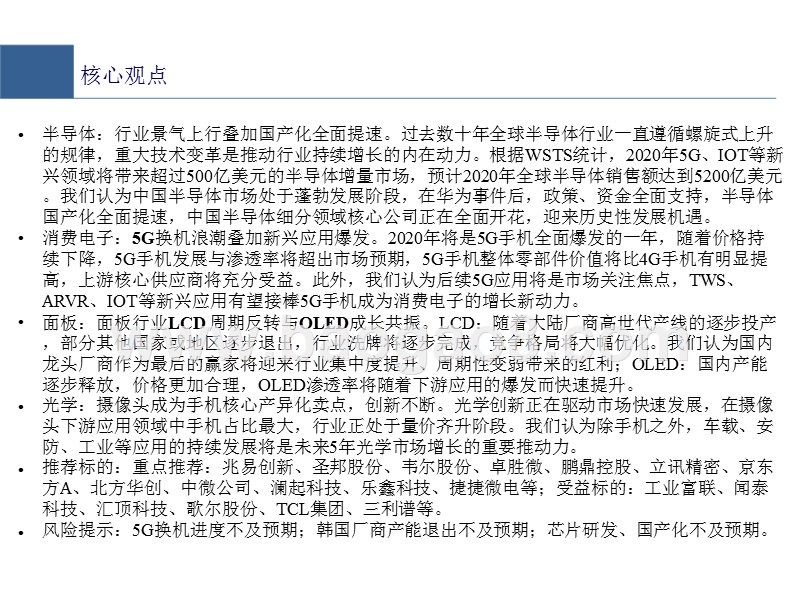 2020新时代电子团队投资分析报告.pptx_第2页