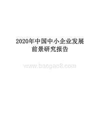 2020年中国中小企业发展前景研究报告.docx