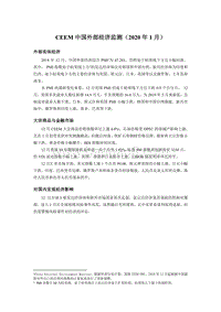 2020年1月中国外部经济监测.pdf