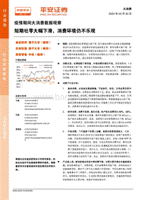 疫情期间大消费数据观察：短期社零大幅下滑，消费环境仍不乐观.pdf
