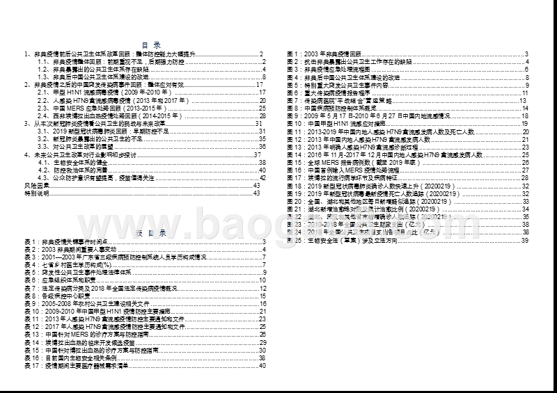 2020疫情后公共卫生改革发展分析报告.pptx_第2页