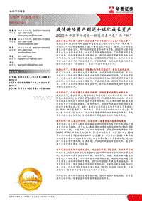 新冠病毒“危”与“机”：疫情避险资产到逆全球化成长资产.pdf