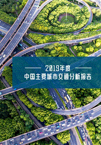 2019年度中国主要城市交通分析报告.pdf