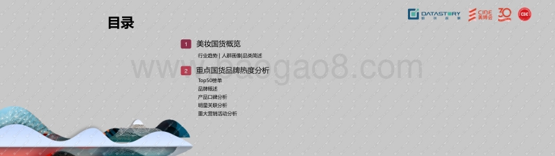 2018最具影响力Top50国产美妆品牌分析报告.pdf_第3页