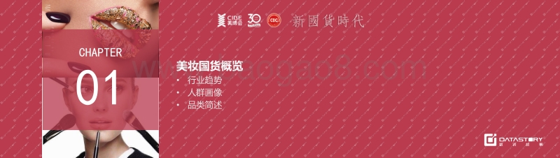 2018最具影响力Top50国产美妆品牌分析报告.pdf_第5页