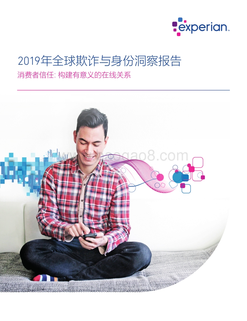 2019年全球欺诈与身份洞察报告.pdf_第1页