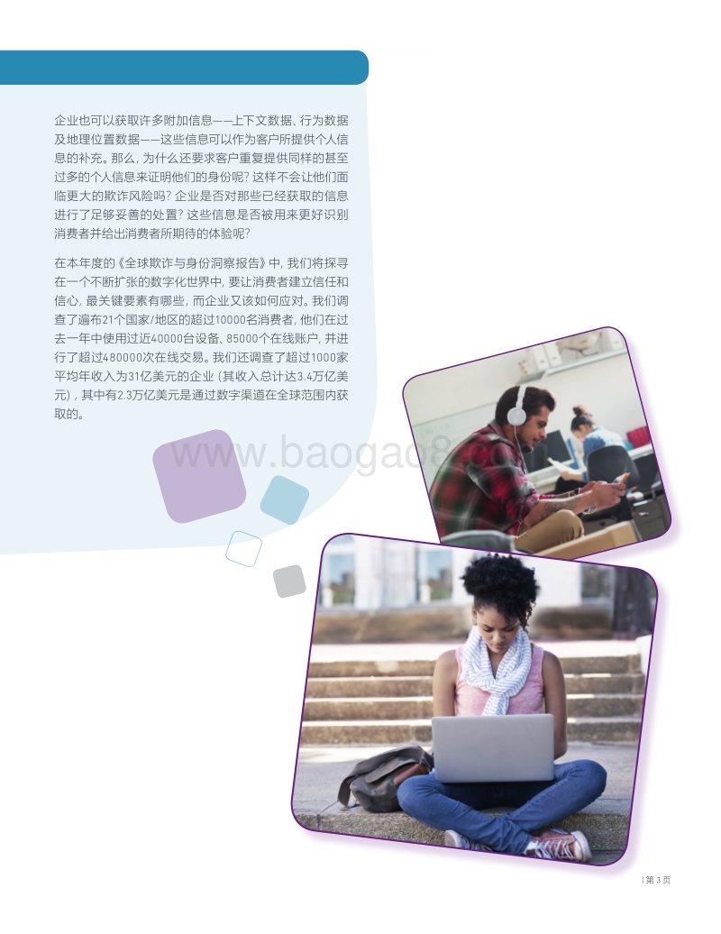 2019年全球欺诈与身份洞察报告.pdf_第3页