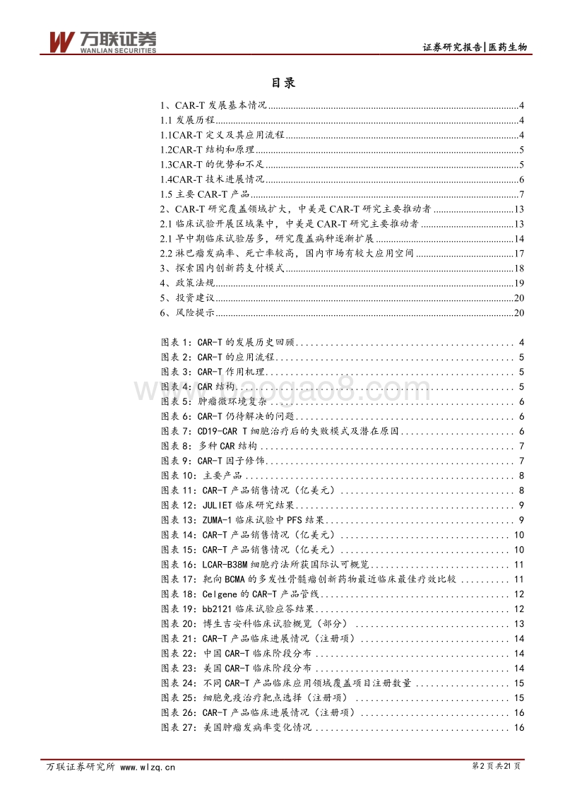 CAR-T行业投资专题报告：商业化进展顺利，市场潜力仍待挖掘.pdf_第2页