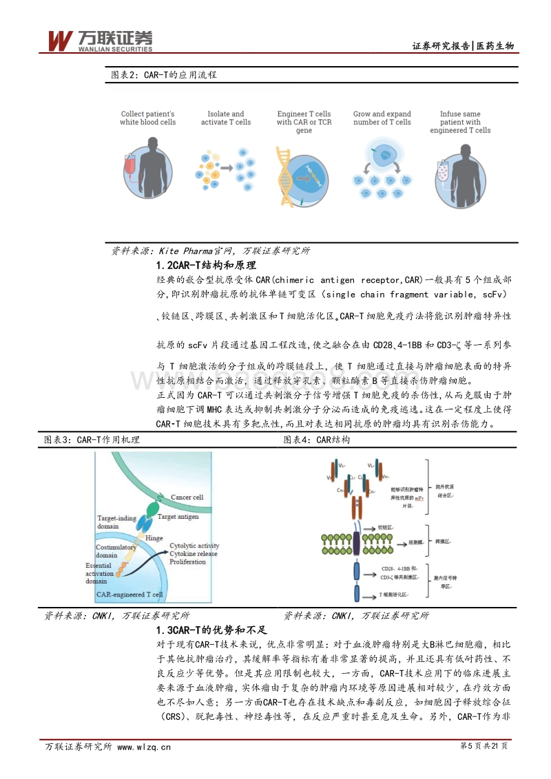 CAR-T行业投资专题报告：商业化进展顺利，市场潜力仍待挖掘.pdf_第5页