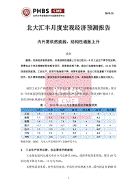 2019年11月月度宏观经济预测报告.pdf