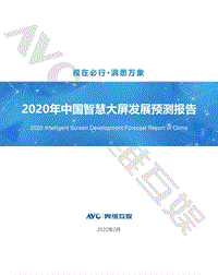 2020年中国智慧大屏发展预测报告.pdf