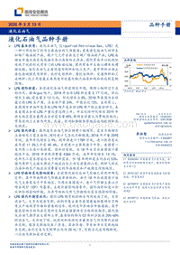 液化石油油气品种手册.pdf