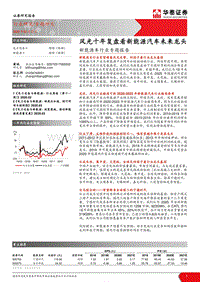 新能源车行业专题报告：风光十年复盘看新能源汽车未来龙头.pdf