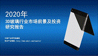 2020年3D玻璃行业市场前景及投资研究报告.pdf