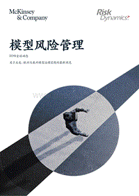 模型风险管理：2019全球动态.pdf