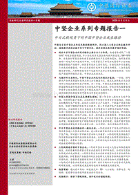 中坚企业系列专题报告一：中日比较视角下的中国中坚企业成长路径.pdf