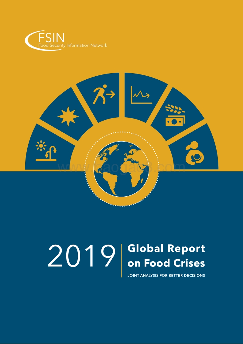 2019全球粮食危机报告（英文版）.pdf_第1页