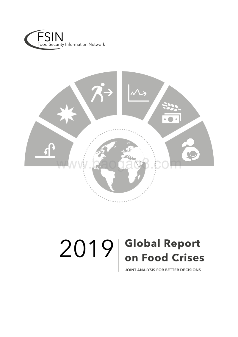 2019全球粮食危机报告（英文版）.pdf_第2页