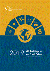 2019全球粮食危机报告（英文版）.pdf