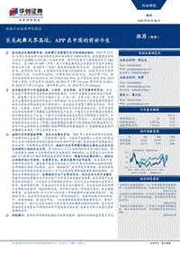 造纸行业深度研究报告：巨龙起舞天界高远，APP在中国的前世今生.pdf