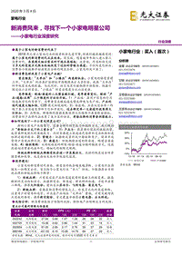 小家电行业深度研究：新消费风来，寻找下一个小家电明星公司.pdf
