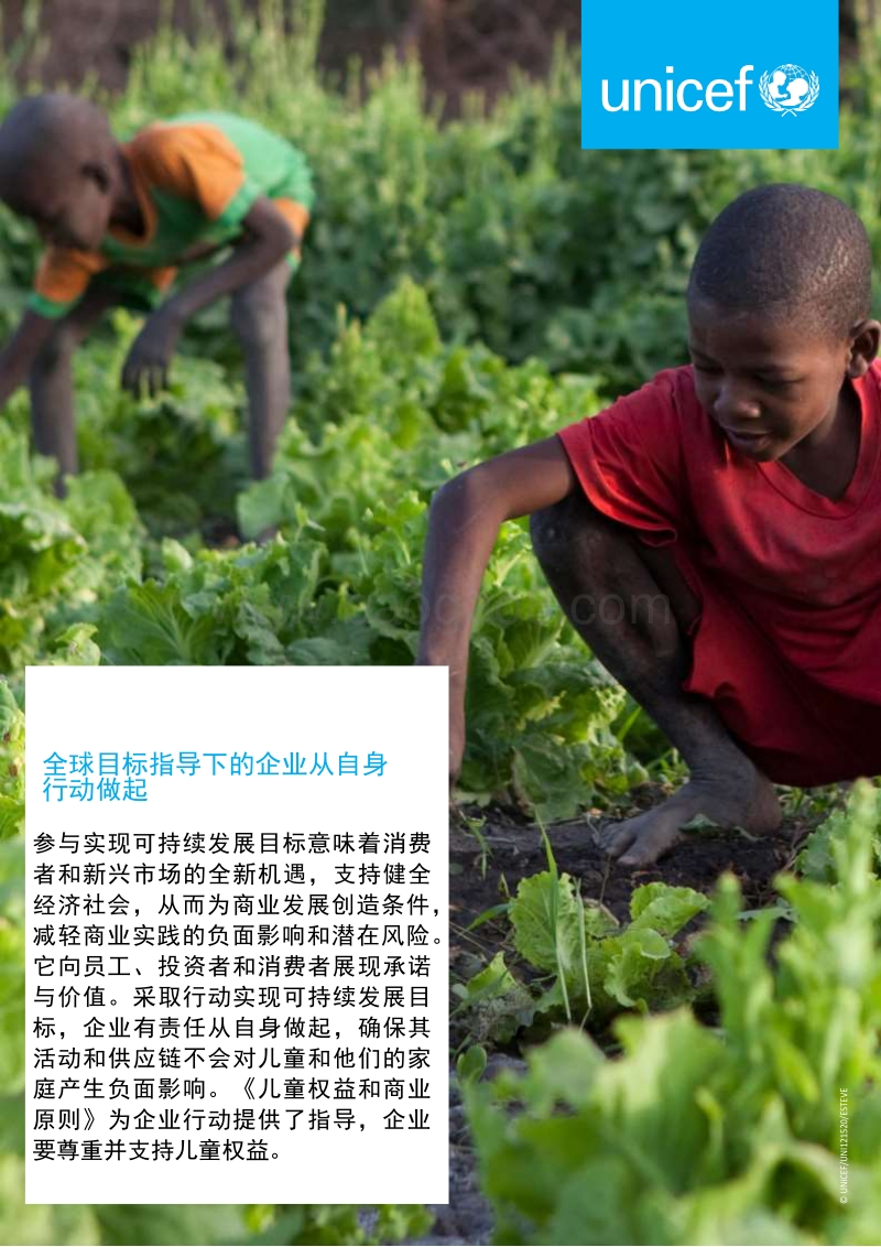 投资儿童发展：可持续发展最为深远的影响.pdf_第4页