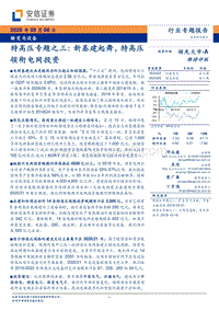 特高压专题之三：新基建起舞，特高压领衔电网投资.pdf