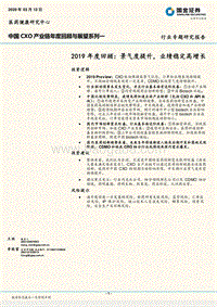 中国CXO产业链年度回顾与展望系列一：2019年度回顾：景气度提升，业绩稳定高增长.pdf