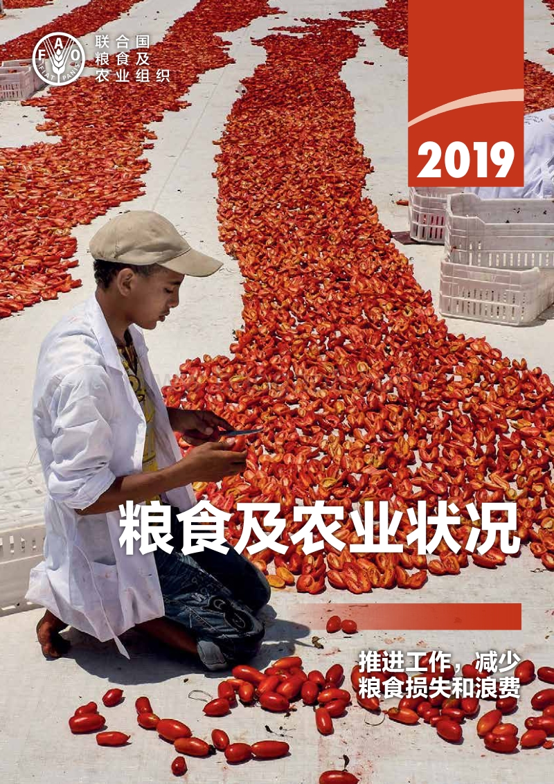 2019粮食及农业状况.pdf_第1页