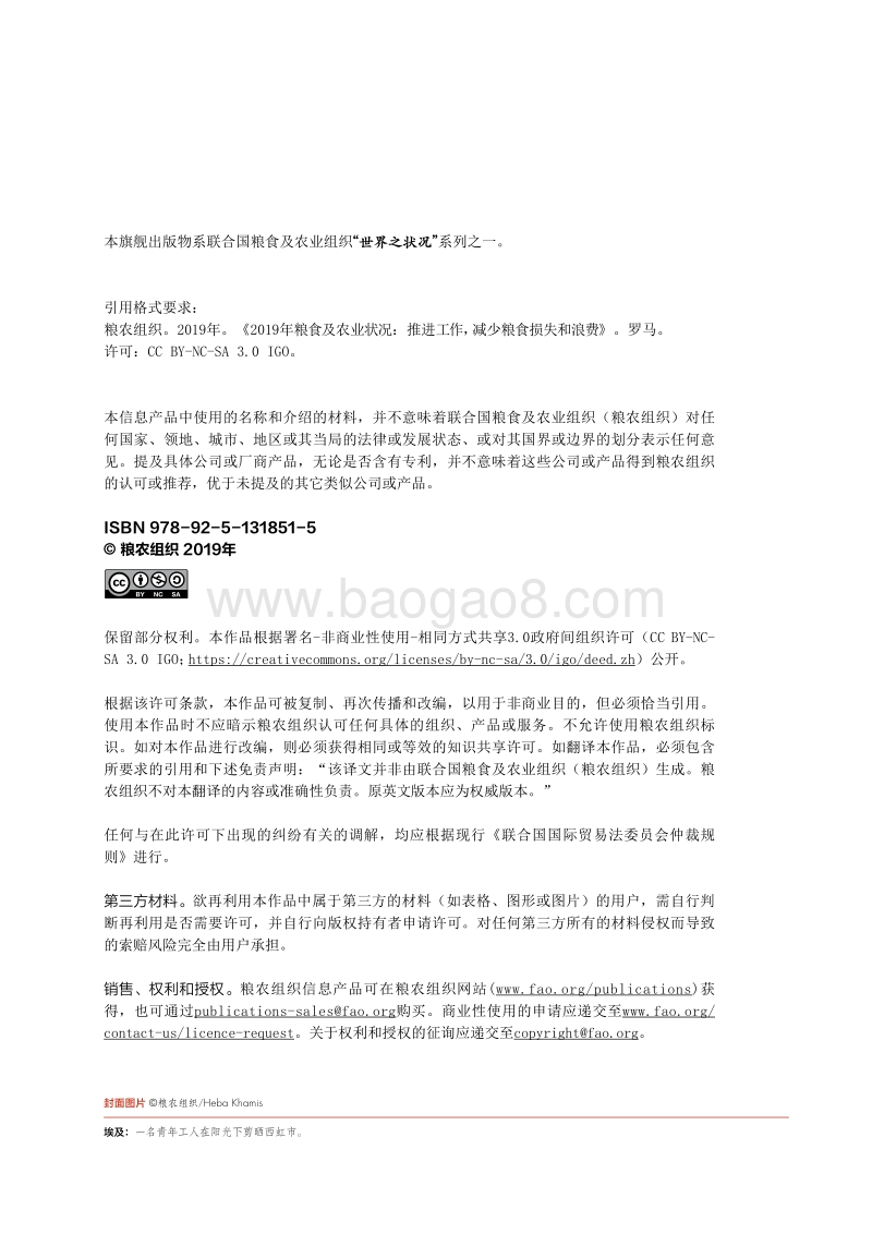 2019粮食及农业状况.pdf_第2页