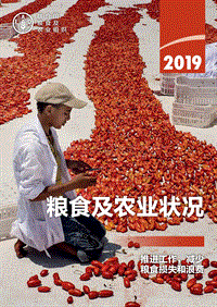 2019粮食及农业状况.pdf