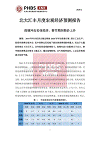 2020年2月月度宏观经济预测报告.pdf